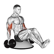 Flexii pentru biceps în așezare V pe minge Bosu, cu gantere