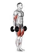 Fandare cu flexie pentru biceps, cu gantere