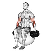 Flexii tip ciocan pe minge de exerciții, cu gantere