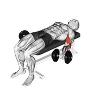 Flexii pentru biceps în decubit dorsal, cu gantere