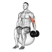 Flexii pentru biceps, așezat pe minge de exerciții, cu o mână, cu gantera