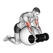 Flexii la pupitru, pe minge de exerciții, cu gantere