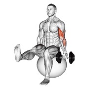 Flexii pentru biceps, așezat, cu o mână, pe minge de exerciții, piciorul ridicat, cu gantera