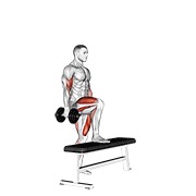 Step-up cu echilibru pe un picior și flexie pentru biceps, cu gantere
