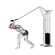 Extensie de triceps deasupra capului, la scripete înalt