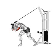 Extensie de triceps deasupra capului, la scripete înalt, cu frânghie