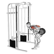 Extensie de triceps în spate, cu ambele brațe, la cablu
