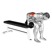 Extensie de triceps aplecat, așezat, cu gantera