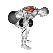 Extensie de triceps cu o mână, aplecat, în picioare, cu gantera