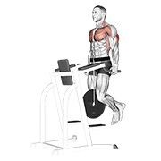 Dips pentru triceps, cu greutate