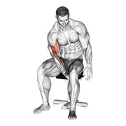 Flexii de concentrare pentru biceps cu piciorul