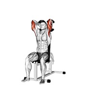 Extensie de triceps, așezat, cu gantere