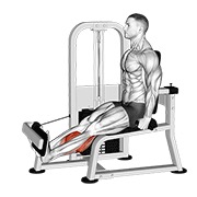 Gambe rotative, la aparat