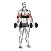 Flexii alternative pentru biceps cu gantere (cu arm blaster)