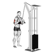 Extensie de triceps la cablu (bară V) (cu arm blaster)