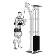 Extensie de triceps cu priză inversă, la cablu (bară SZ) (cu arm blaster)