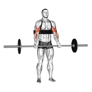 Flexii pentru biceps cu haltera (cu arm blaster)
