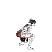Pull-through sumo cu gantera