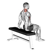 Dips scapulare