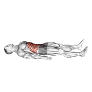 Un sfert de abdomene