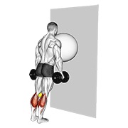 Ridicare de gambe la perete, cu minge de exerciții (minge de tenis între genunchi)