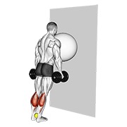 Ridicare de gambe la perete, cu minge de exerciții (minge de tenis între glezne)