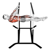 Repetări front lever