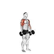 Flexii tip ciocan alternative și împins, în picioare, cu gantere