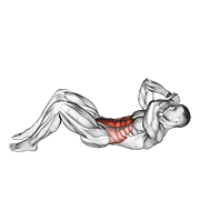 Abdomene 3/4