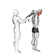Extensii pentru triceps în picioare, asistate (cu prosop)