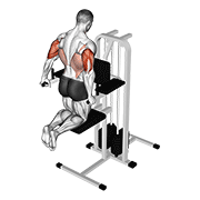 Dips pentru triceps asistate (îngenuncheat)