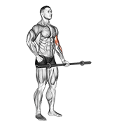 Flexii alternative pentru biceps cu haltera