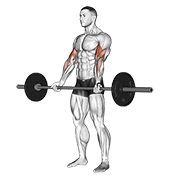 Flexii pentru biceps cu haltera