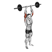 Extensie de triceps deasupra capului, în picioare, cu haltera