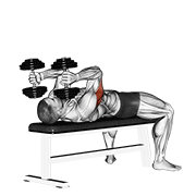 Extensie de triceps culcat, cu gantere