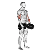 Flexii pentru biceps cu priză inversă, cu gantere