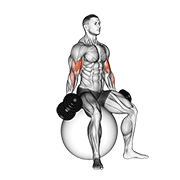 Flexii pentru biceps, așezat, cu gantera (pe minge de stabilitate)