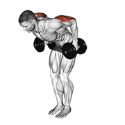 Extensie de triceps în spate, în picioare, cu gantera