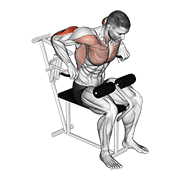 Dips pentru triceps cu priză pronată, la aparat