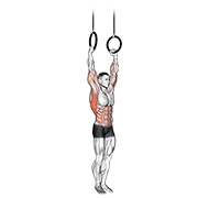 Muscle-up