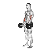 Flexii tip ciocan cu haltera olimpică