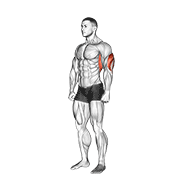 Întindere de triceps deasupra capului