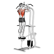 Tracțiuni asistate în picioare