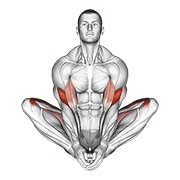 Poziția fluture (yoga)