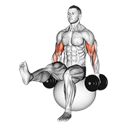 Flexii pentru biceps pe minge de exerciții, cu piciorul ridicat, cu gantere