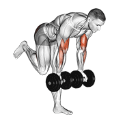 Flexii pentru biceps în poziția berzei, cu gantere