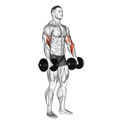 Flexii inverse pentru biceps cu gantere