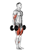 Fandare cu flexie pentru biceps, cu gantere