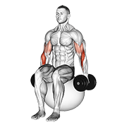 Flexii tip ciocan pe minge de exerciții, cu gantere