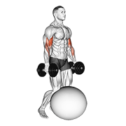 Flexii pentru biceps îngenuncheat, pe minge de exerciții, cu gantera